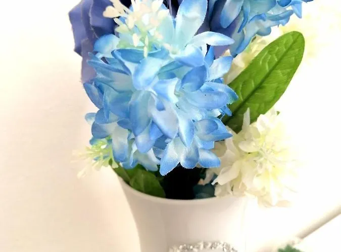 Bed & Breakfast Orchidea 3*