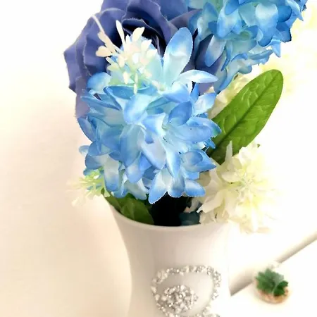 Bed & Breakfast Orchidea 3*